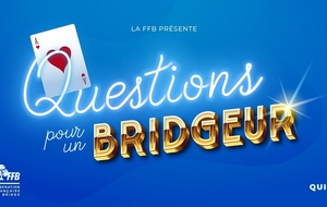 Questions pour un bridgeur