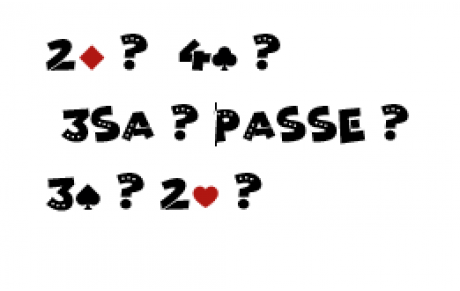 Test d'enchères n° 6