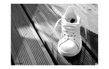 La donne de la semaine n°13 est en ligne