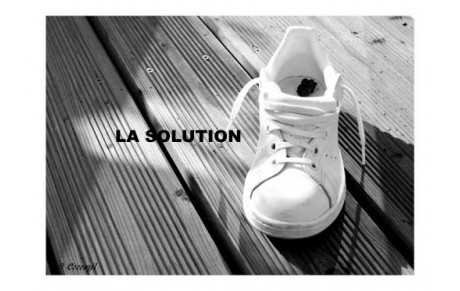 Donne 13, la solution.
