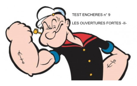 Test d'enchères n° 9