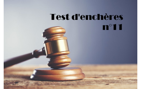Test d'enchères n° 11