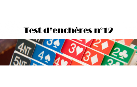 Test d'enchères n° 12